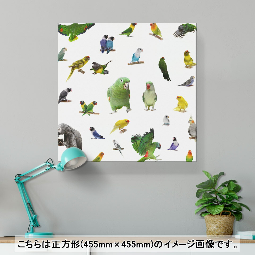 アートパネル 絵 絵画 飾り 選べるサイズ 333×333mm 正方 スクエア モダン 玄関 写真 フォト インテリア おしゃれ 003163 鳥　動物　写真 2