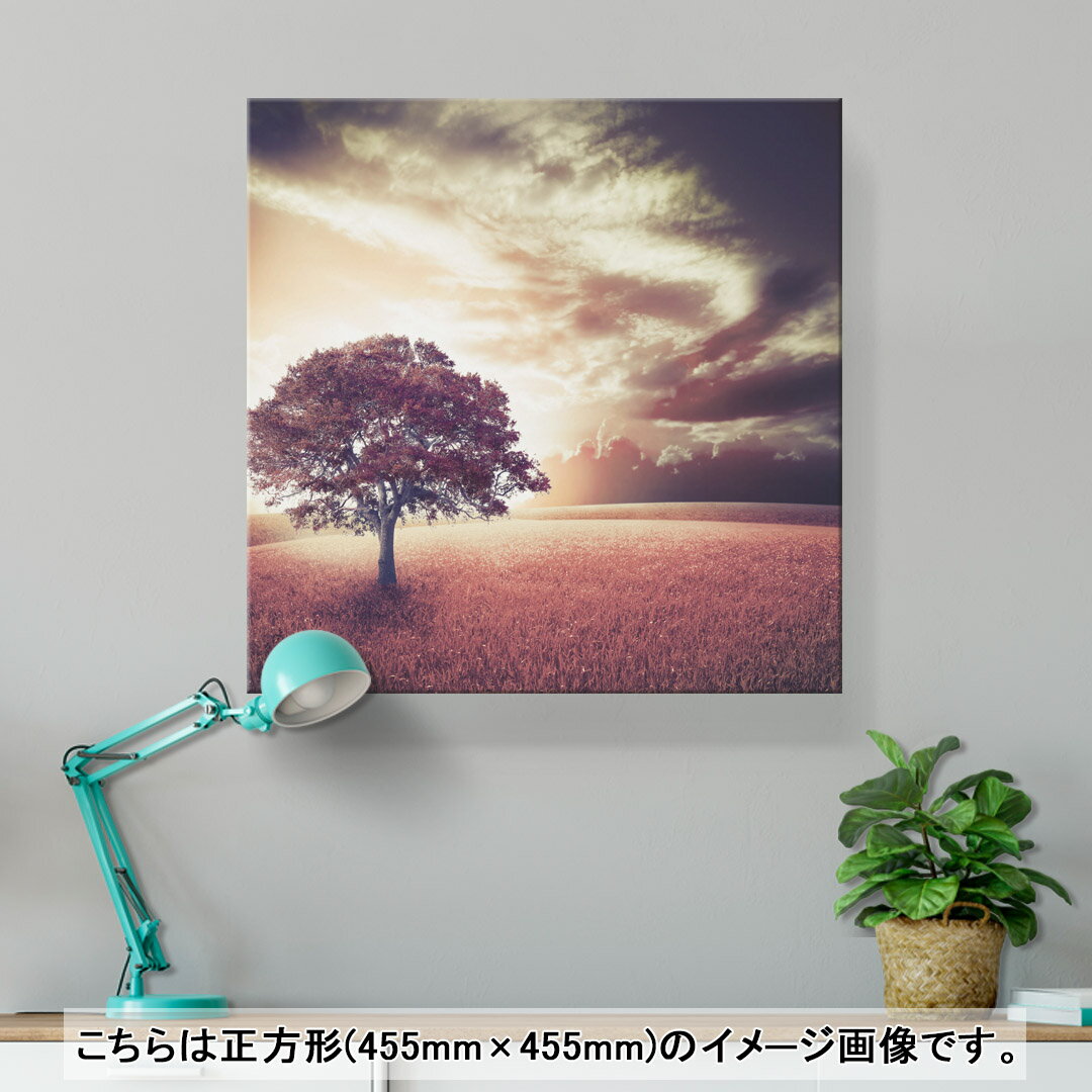 アートパネル 絵 絵画 飾り 選べるサイズ 333×333mm 正方 スクエア モダン 玄関 写真 フォト インテリア おしゃれ 006618 写真　空　草原 2