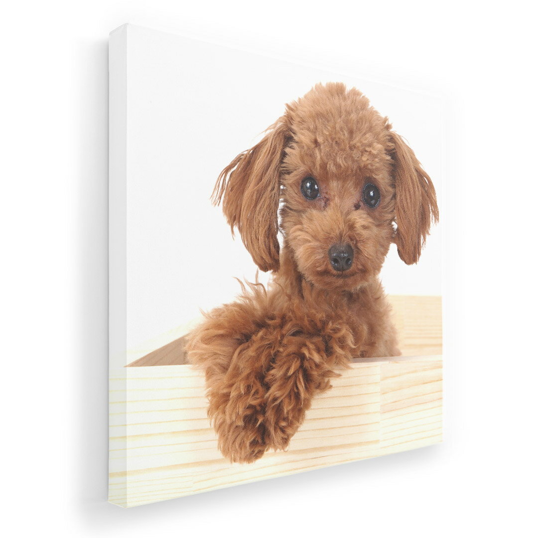 ファブリックパネル　ポスター アートフレーム　キャンバスアート 玄関 リビング　アートボード同じデザインの各サイズへはこちらから ▼　▼　▼　▼　▼&nbsp;