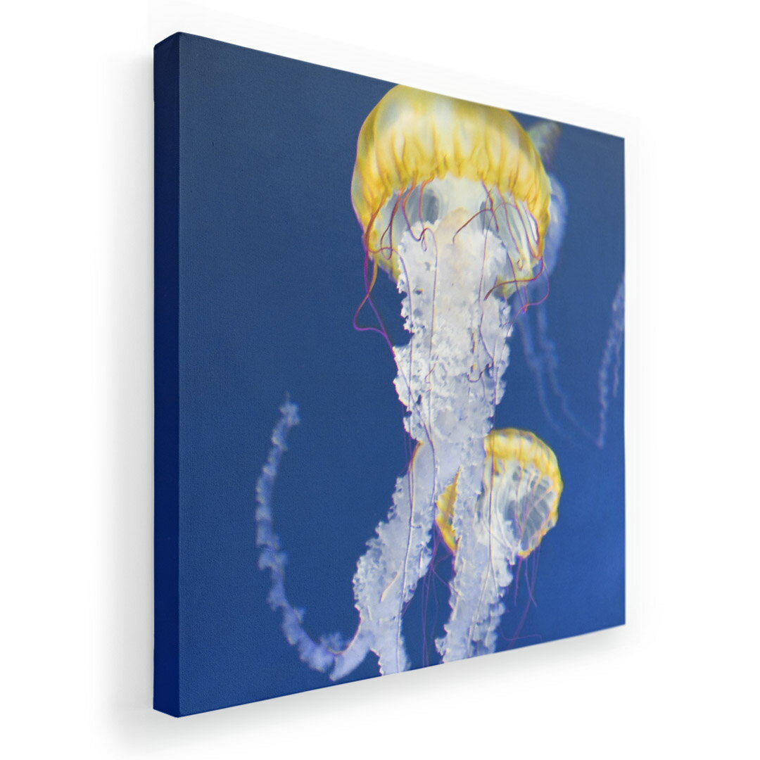 ファブリックパネル　ポスター アートフレーム　キャンバスアート 玄関 リビング　アートボード同じデザインの各サイズへはこちらから ▼　▼　▼　▼　▼&nbsp;