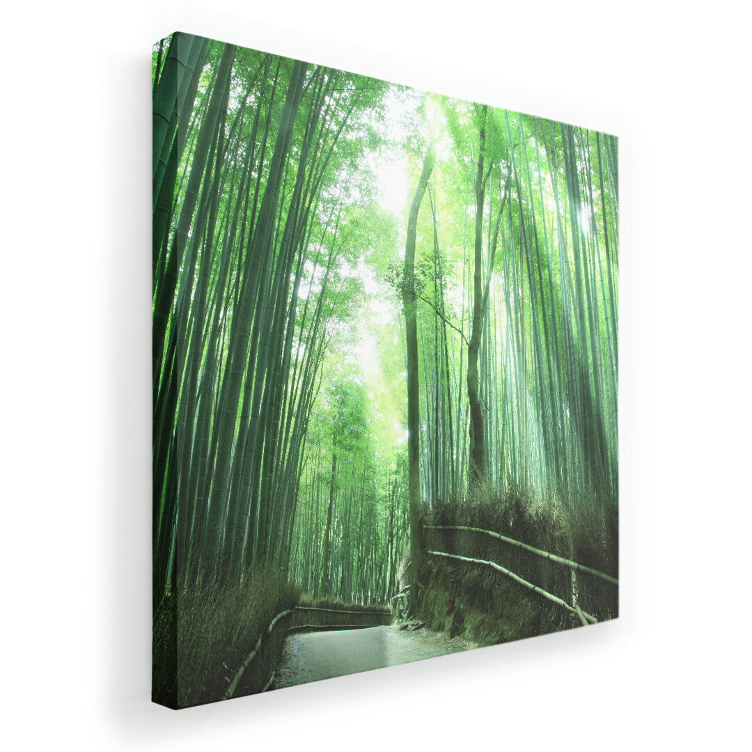 �����ȥѥͥ� �� ���� ���� ���٤륵���� 455��455mm ���� �������� ����� ���� �̿� �ե��� ����ƥꥢ ������� 00499...