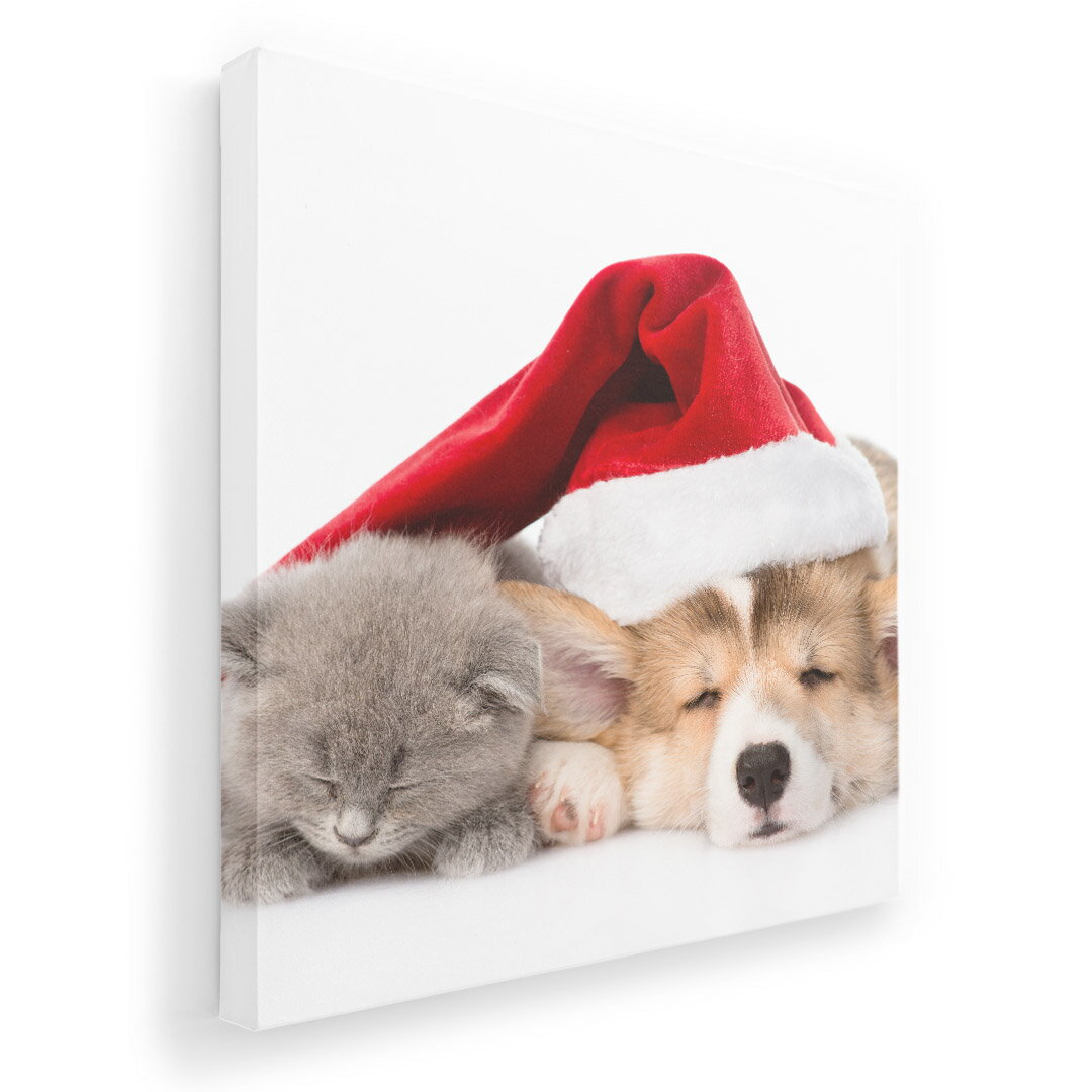 アートパネル 絵 絵画 飾り 選べるサイズ 333×333mm 正方 スクエア モダン 玄関 写真 フォト インテリア おしゃれ 008645 犬　猫　帽子　写真