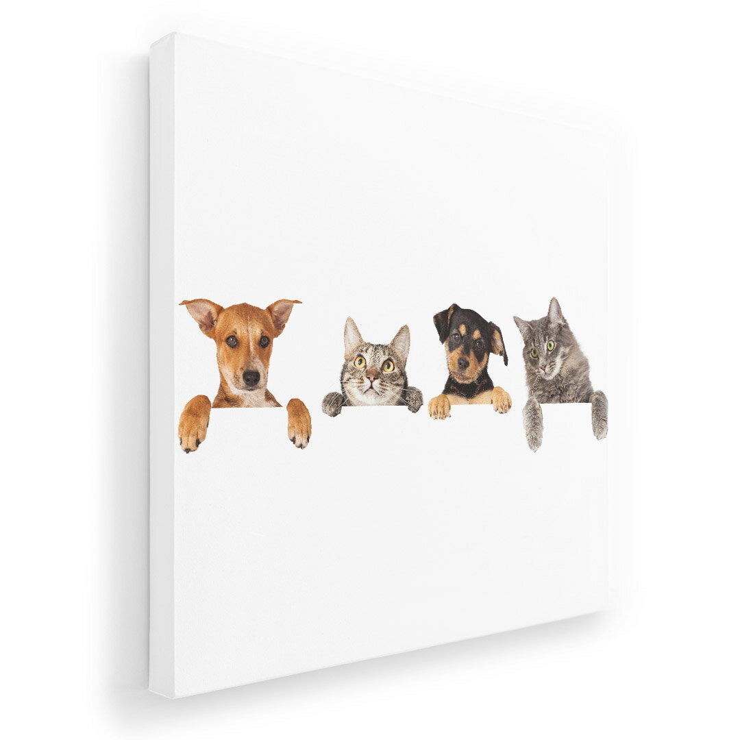 ファブリックパネル　ポスター アートフレーム　キャンバスアート 玄関 リビング　アートボード同じデザインの各サイズへはこちらから ▼　▼　▼　▼　▼&nbsp;