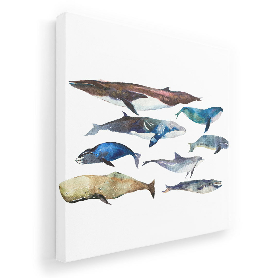 アートパネル 絵 絵画 飾り 選べるサイズ 455×455mm 正方 スクエア モダン 玄関 写真 フォト インテリア おしゃれ 015836 魚　海　くじら　シャチ