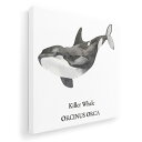 アートパネル 絵 絵画 飾り 選べるサイズ 455×455mm 正方 スクエア モダン 玄関 写真 フォト インテリア おしゃれ 019743 海の生物 シャチ killer whale
