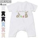 選べる6カラー バックプリント ロンパース カバーオール 赤ちゃん 半袖 デザイン 70cm 80cm rompers ベビー 新生児 キッズ 70サイズ 80サイズ ギフト マタニティ 妊婦 出産祝い プレママ ティーシャツ T shirt 015393 イースター たまご とり うさぎ パステル