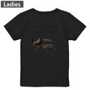 Tシャツ レディース バックプリント 半袖 ブラック 黒 デザイン M L tシャツ ティーシャツ T shirt 020020 虫 サイカブト(4)