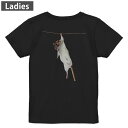 Tシャツ レディース バックプリント 半袖 ブラック 黒 デザイン M L tシャツ ティーシャツ T shirt 005911 写真 動物 ねずみ