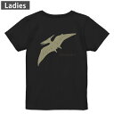 Tシャツ レディース バックプリント 半袖 ブラック 黒 デザイン M L tシャツ ティーシャツ T shirt 017563 ダイナソー 恐竜 Dinosaur プテラノドン(4)