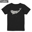 Tシャツ レディース バックプリント 半袖 ブラック 黒 デザイン M L tシャツ ティーシャツ T shirt 019747 海の生物 シロイルカ beluga whale(4)