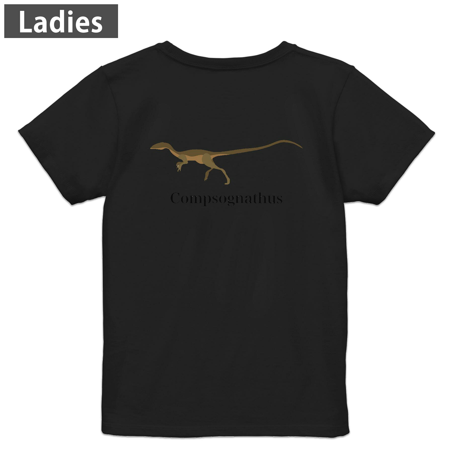Tシャツ レディース バックプリント 半袖 ブラック 黒 デザイン M L tシャツ ティーシャツ T shirt 019776 恐竜 Compsognathus コンプソグナトゥス