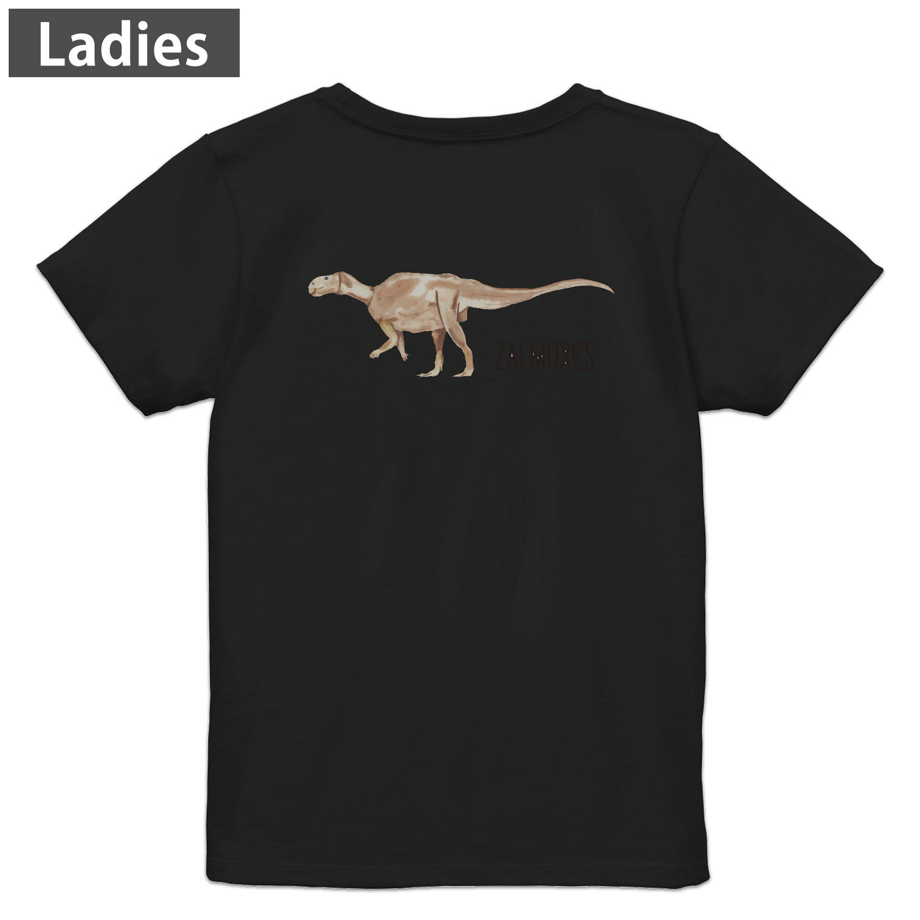 Tシャツ レディース バックプリント 半袖 ブラック 黒 デザイン M L tシャツ ティーシャツ T shirt 019834 恐竜 Zalmoxes ザルモクセス