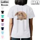 ドライ Tシャツ バックプリント 選べる8カラー tシャツ レディース 半袖 速乾 紫外線遮蔽 UV デザイン 2サイズ Tシャツ ティーシャツ T shirt 001112 うさぎ 動物