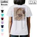 ドライ Tシャツ バックプリント 選べる8カラー tシャツ レディース 半袖 速乾 紫外線遮蔽 UV デザイン 2サイズ Tシャツ ティーシャツ T shirt 036020 音楽 楽譜 ヘッドホン