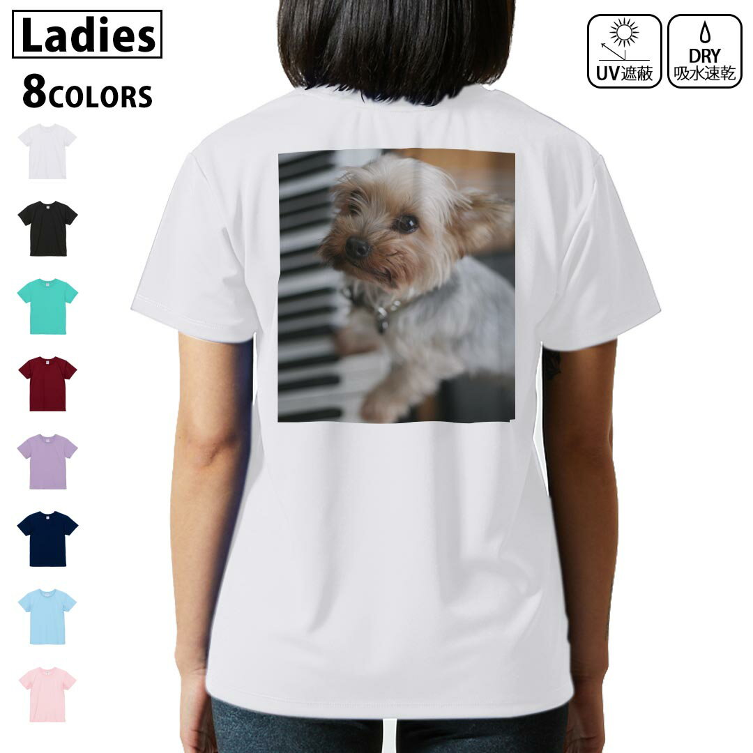 ドライ Tシャツ バックプリント 選べる8カラー tシャツ レディース 半袖 速乾 紫外線遮蔽 UV デザイン 2サイズ Tシャツ ティーシャツ T shirt 004565 犬 写真 ピアノ