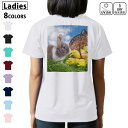 ドライ Tシャツ バックプリント 選べる8カラー tシャツ レディース 半袖 速乾 紫外線遮蔽 UV デザイン 2サイズ Tシャツ ティーシャツ T shirt 006581 写真 うさぎ 動物