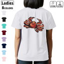 ドライ Tシャツ バックプリント 選べる8カラー tシャツ レディース 半袖 速乾 紫外線遮蔽 UV デザイン 2サイズ Tシャツ ティーシャツ T shirt...