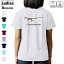 ドライ Tシャツ バックプリント 選べる8カラー tシャツ レディース 半袖 速乾 紫外線遮蔽 UV デザイン 2サイズ Tシャツ ティーシャツ T shirt 019776 恐竜 Compsognathus コンプソグナトゥス 1,580円