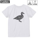 レディース ドライバックプリントTシャツ ホワイト 半袖 4.1オンス ジム トレーニング スポーツ 運動会 ドライアスレチック UVカット 紫外線遮蔽 吸水速乾 デザイン Tshirt M L 031919 アヒル 肉 部位(4)