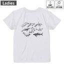 レディース ドライバックプリントTシャツ ホワイト 半袖 4.1オンス ジム トレーニング スポーツ 運動会 ドライアスレチック UVカット 紫外線遮蔽 吸水速乾 デザイン Tshirt M L 032229 鮫 シャーク(4)