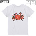 レディース ドライバックプリントTシャツ ホワイト 半袖 4.1オンス ジム トレーニング スポーツ 運動会 ドライアスレチック UVカット 紫外線遮蔽 吸水速...