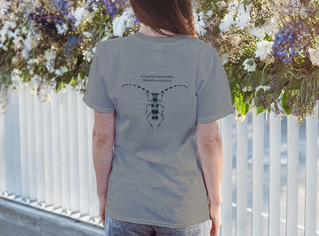 Tシャツ レディース バックプリント 半袖 ホワイト グレー デザイン M Lティーシャツ T shirt 020011 虫 Rosalia coelestis コエレスティス