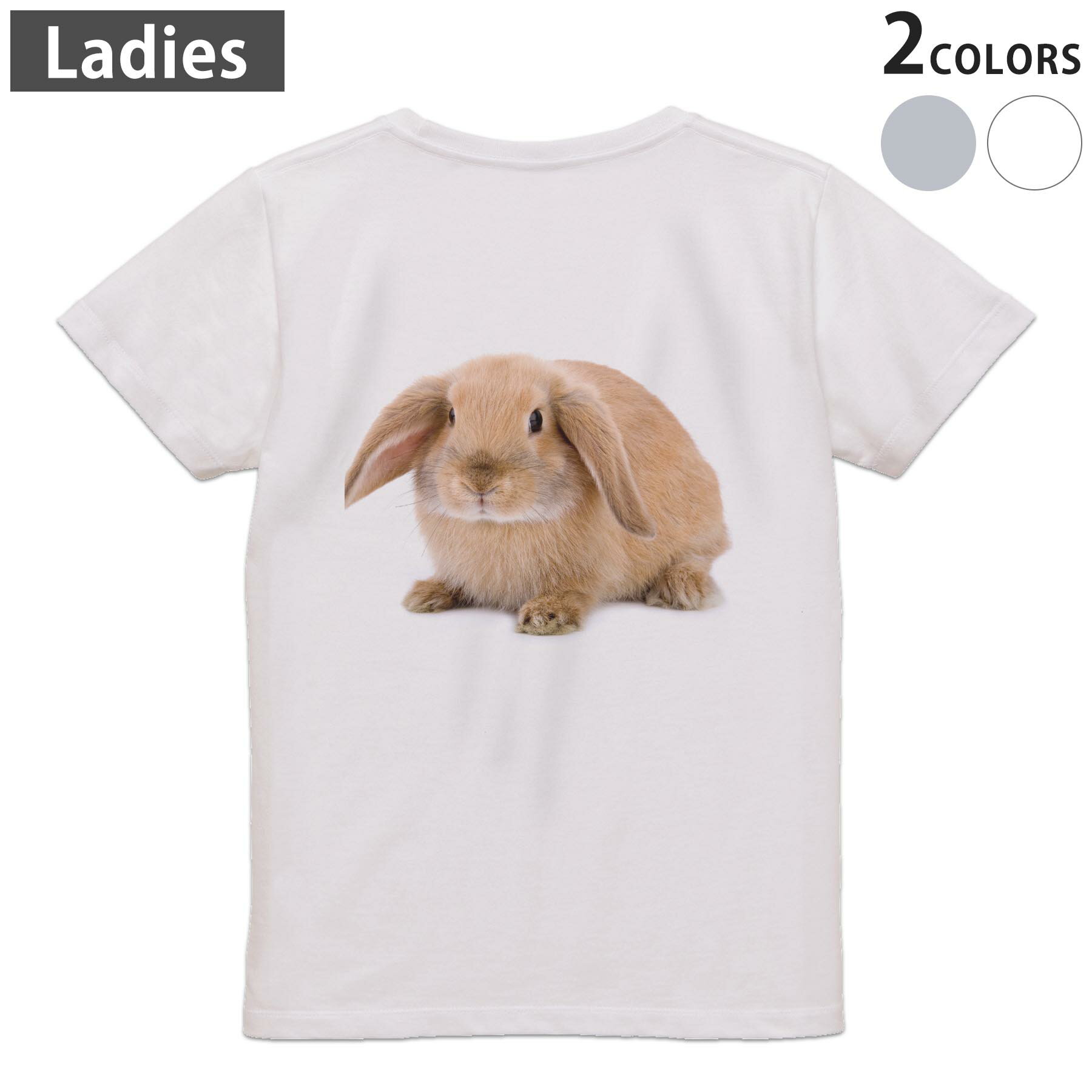Print - Tシャツ レディース バックプリント 半袖 ホワイト グレー デザイン M Lティーシャツ T shirt 001112 うさぎ　動物