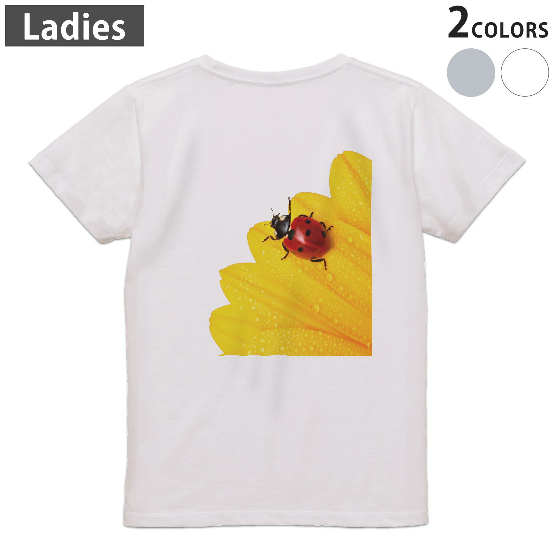 楽天市場】てんとう虫 tシャツの通販
