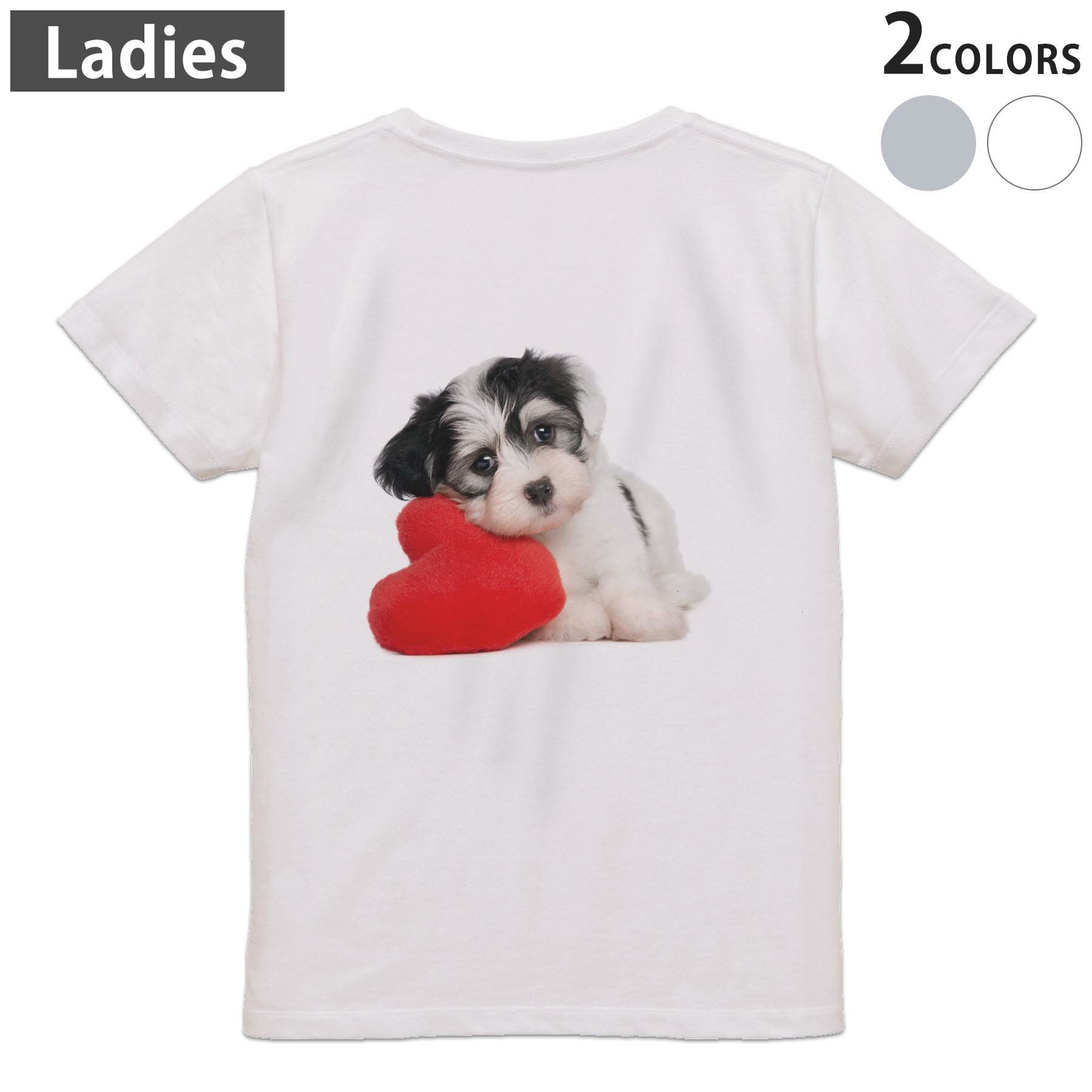Tシャツ レディース バックプリント 半袖 ホワイト グレー デザイン M Lティーシャツ T shirt 002793 犬　動物　写真