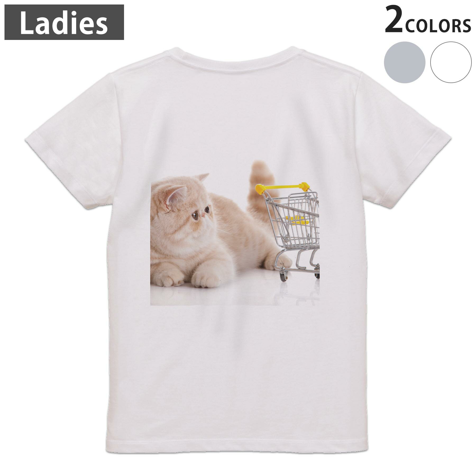 Print - Tシャツ レディース バックプリント 半袖 ホワイト グレー デザイン M Lティーシャツ T shirt 002908 猫　動物　写真
