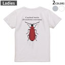 Tシャツ レディース バックプリント 半袖 ホワイト グレー デザイン M Lティーシャツ T shirt 020016 虫 カーディナル・カブトムシ(4)