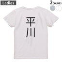 Tシャツ レディース バックプリント 半袖 ホワイト グレー デザイン M Lティーシャツ T shirt 021375 苗字 名前 平川(4)