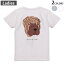 Tシャツ レディース バックプリント 半袖 ホワイト グレー デザイン M Lティーシャツ T shirt 022591 犬 シャー・ペイ 1,780円