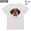 Tシャツ レディース バックプリント 半袖 ホワイト グレー デザイン M Lティーシャツ T shirt 022606 犬 セント・バーナード 1,780円