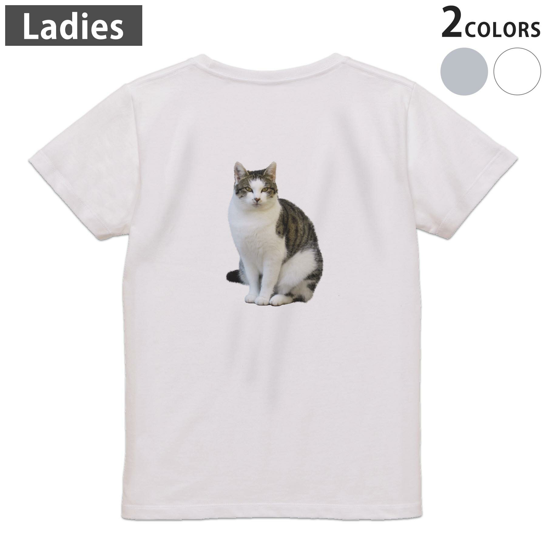 Tシャツ レディース バックプリント 半袖 ホワイト グレー デザイン M Lティーシャツ T shirt 022701 猫 かわいい