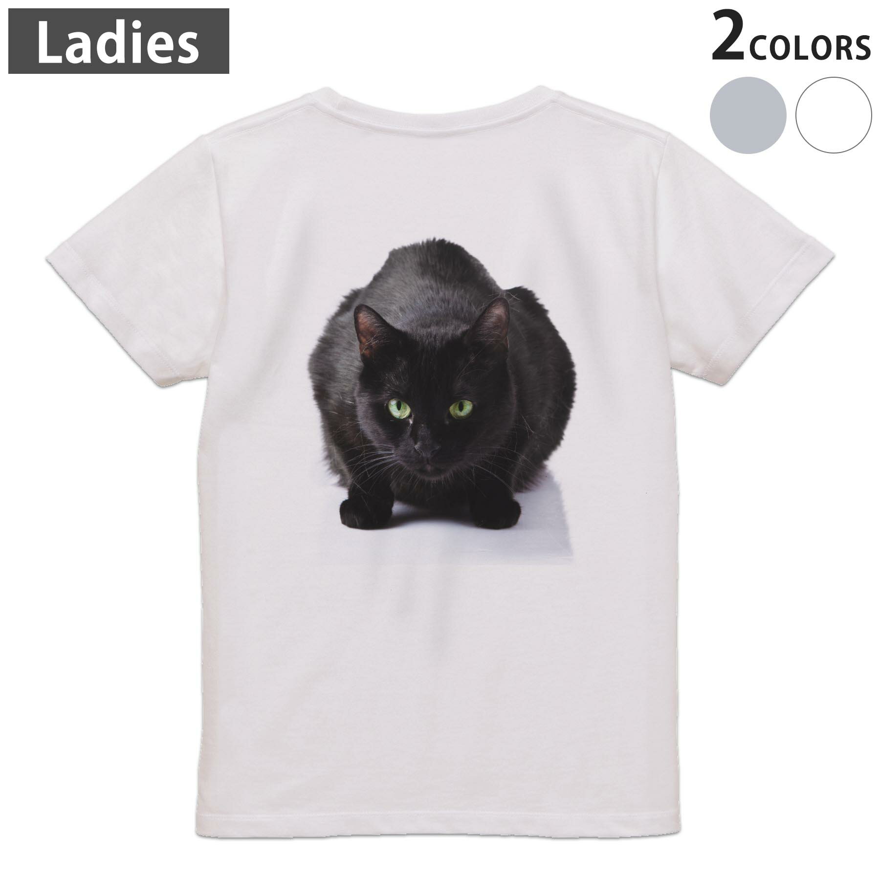 Other - Tシャツ レディース バックプリント 半袖 ホワイト グレー デザイン M Lティーシャツ T shirt 005958 写真　動物　ねこ　猫