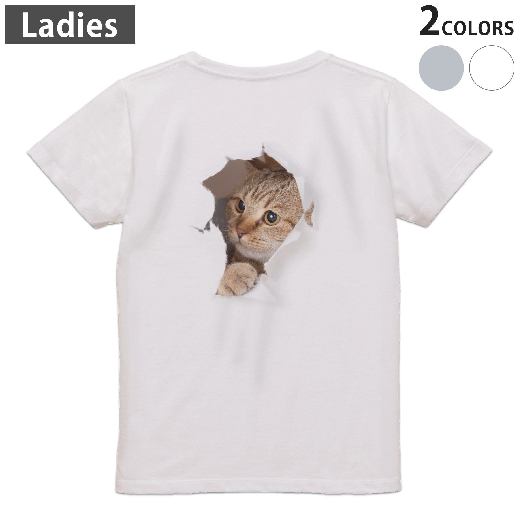 Military - Tシャツ レディース バックプリント 半袖 ホワイト グレー デザイン M Lティーシャツ T shirt 013566 猫　写真