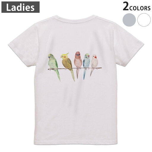 Tシャツ レディース バックプリント 半袖 ホワイト グレー デザイン M Lティーシャツ T shirt 014042 鳥 インコ アニマル Tシャツ レディース バックプリント 半袖 ホワイト グレー デザイン M Lティーシャツ T shirt 014042 鳥 インコ アニマル