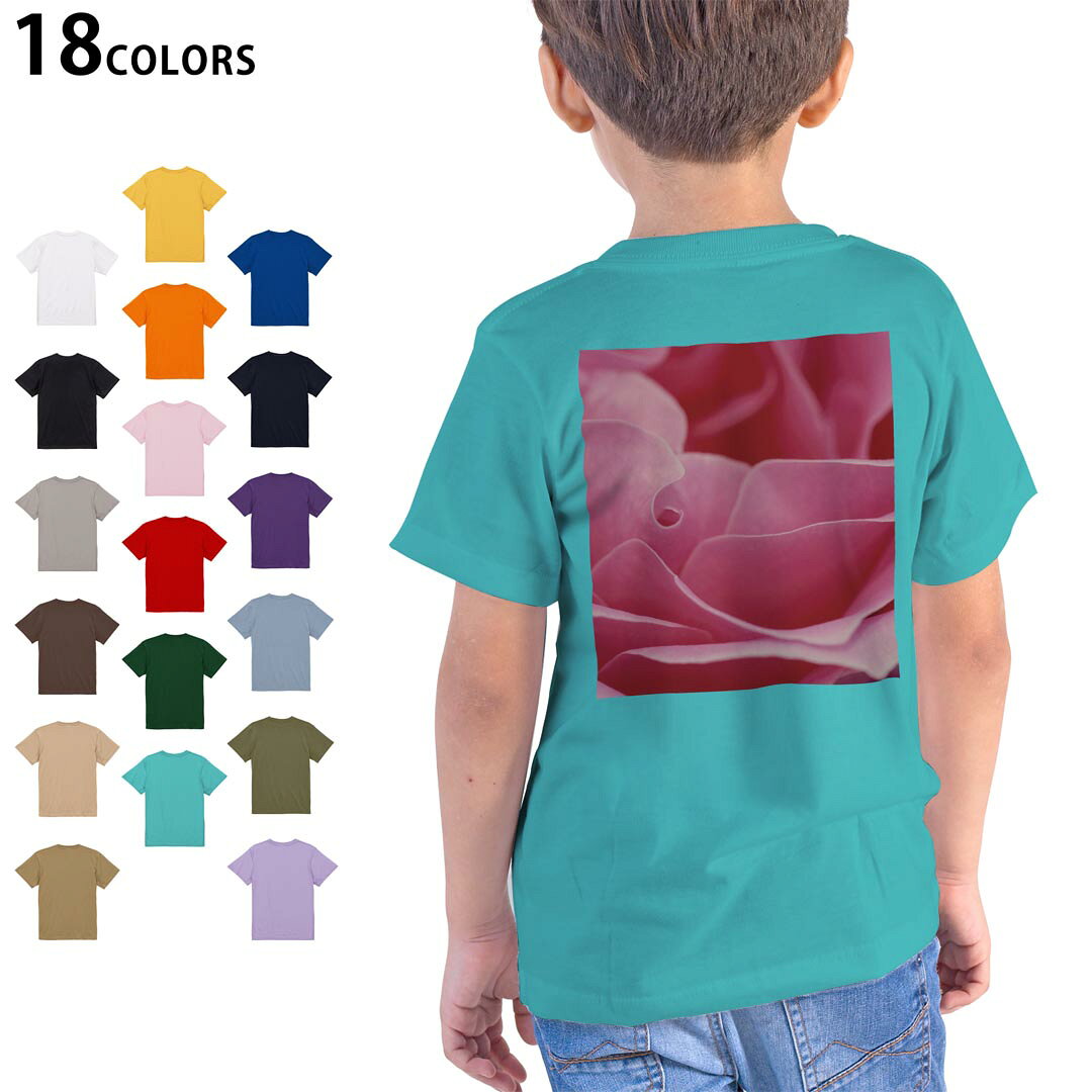 tシャツ キッズ 半袖 ホワイト グレー デザイン 90 100 110 120 130 140 150 160 Tシャツ ティーシャツ T shirt　白 灰色ライトグレー チャコール ライトベージュ サンドカーキ バナナ オレンジ ライトピン ベビーピンク ピンク レッド ダークブラウン アイビーグリーン シティグリーン ロイヤルブルー インディゴ ネイビー バイオレットパープル パープル ストーングレー サンドベージュ コーラルベージュ ゴールド ライトパープル▼画像をクリックで拡大▼ ホワイト ブラック ライトグレー チャコール ライトベージュ サンドカーキ バナナ オレンジ ライトピンク レッド アイビーグリーン ロイヤルブルー ネイビー バイオレットパープル ミントグリーン アシッドブルー&nbsp; ライトパープル&nbsp; ライトオリーブ&nbsp; ※ブラック・ネイビーは印刷の都合上デザインが異なる場合がありますので画像をご確認ください。 ▼着用参考画像:バイオレットパープル 110cm▼ ▼着用参考画像:ライトピンク 160cm▼ ▼全デザインはこちらから▼