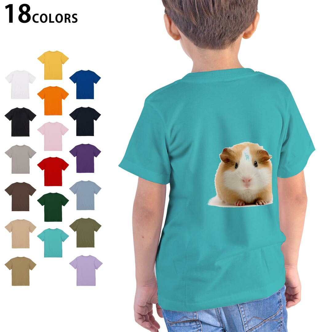 選べる18カラー Tシャツ キッズ 半袖 ホワイト グレー デザイン 90 100 110 120 130 140 150 160 Tシャ..