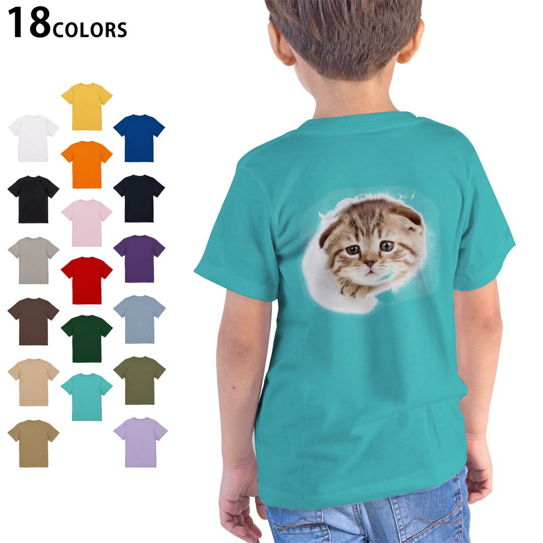 Rakuten - 選べる18カラー Tシャツ キッズ 半袖 ホワイト グレー デザイン 90 100 110 120 130 140 150 160 Tシャツ ティーシャツ T shirt 013568 猫　写真　子猫