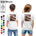 ドライTシャツ バックプリント 選べる18カラー tシャツ キッズ 半袖 速乾 UV デザイン 120 130 140 150 160 Tシャツ ティーシャツ T shirt 001014 マカロン チョコレート