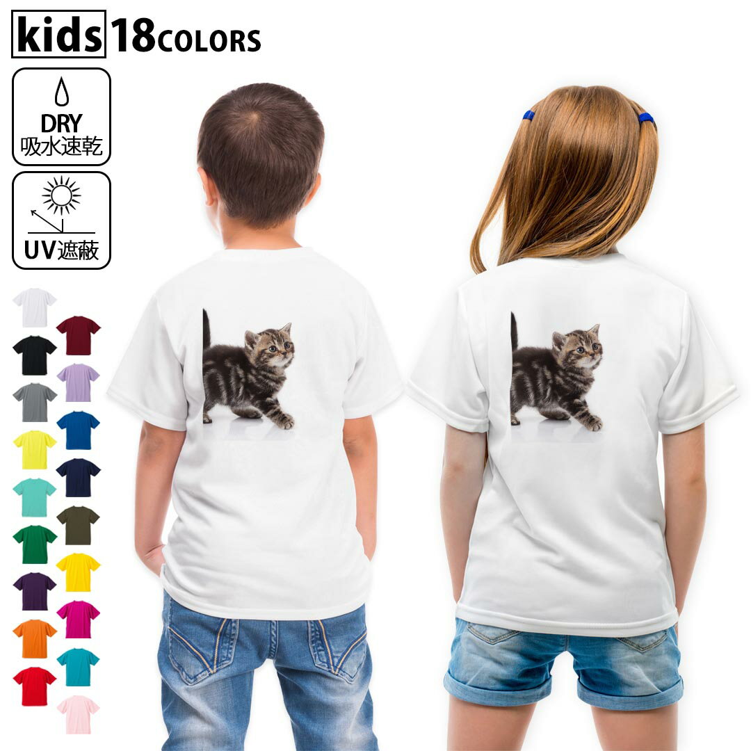 ドライTシャツ バックプリント 選べる18カラー tシャツ キッズ 半袖 速乾 UV デザイン 120 130 140 150 160 Tシャツ ティーシャツ T shirt 005930 写真 動物 猫 ねこ