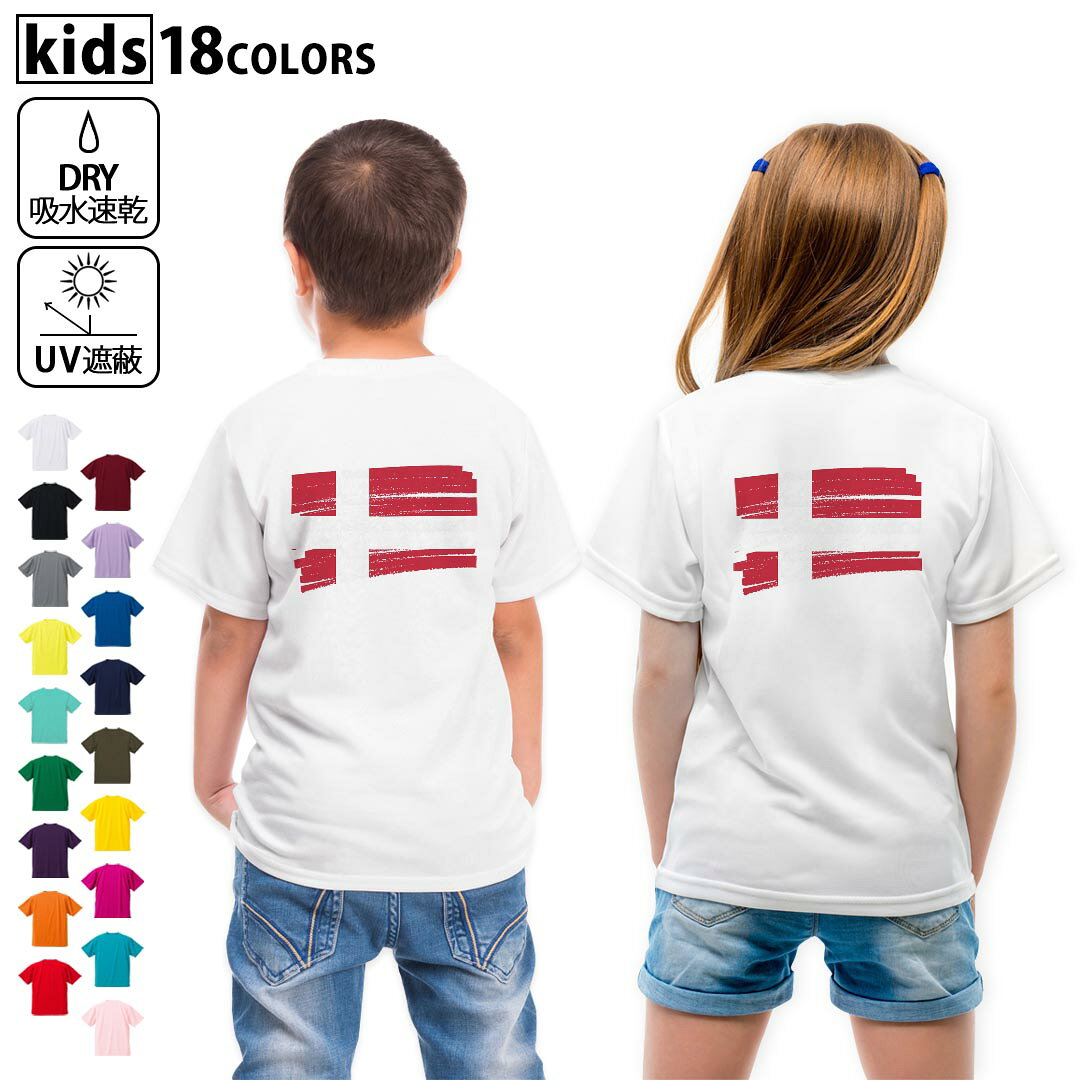 ドライTシャツ バックプリント 選べる18カラー tシャツ キッズ 半袖 速乾 UV デザイン 120 130 140 150 160 Tシャツ ティーシャツ T shirt　018431 denmark デンマーク