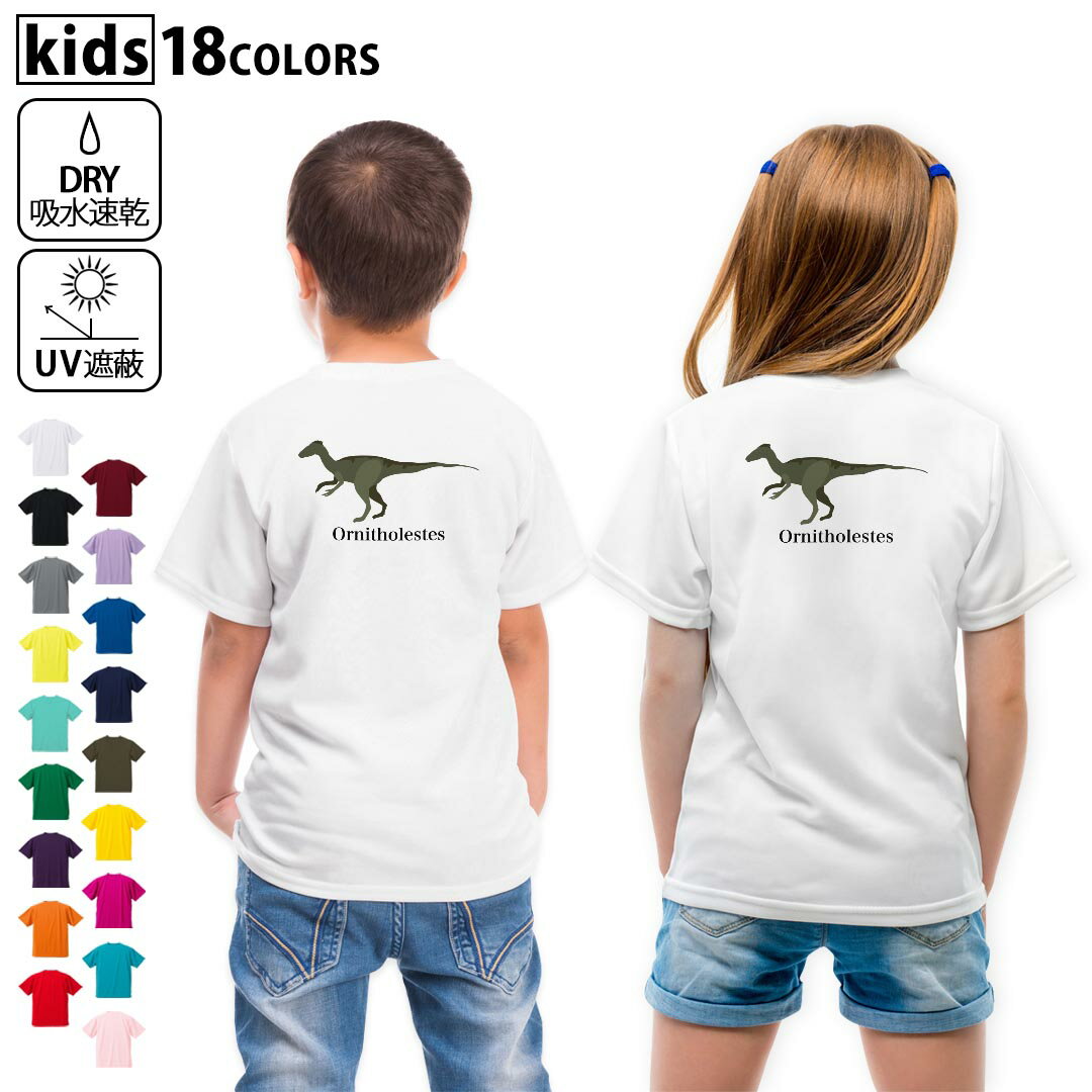 ドライTシャツ バックプリント 選べる18カラー tシャツ キッズ 半袖 速乾 UV デザイン 120 130 140 150 160 Tシャツ ティーシャツ T shirt　019798 恐竜 Ornitholestes オルニトレステス