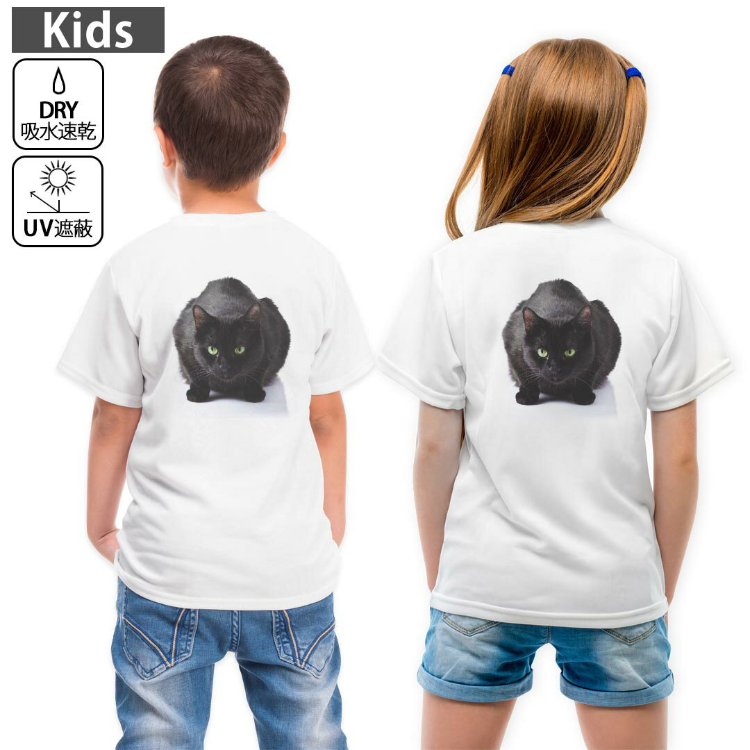 T-Shirts （Short Sleeve） - キッズ バックプリント ドライTシャツ ホワイト 半袖 4.1オンス トレーニング スポーツ ジム 運動会 ドライアスレチック UVカット 紫外線遮蔽 吸水速乾 120 130 140 150 160 005958 写真　動物　ねこ　猫