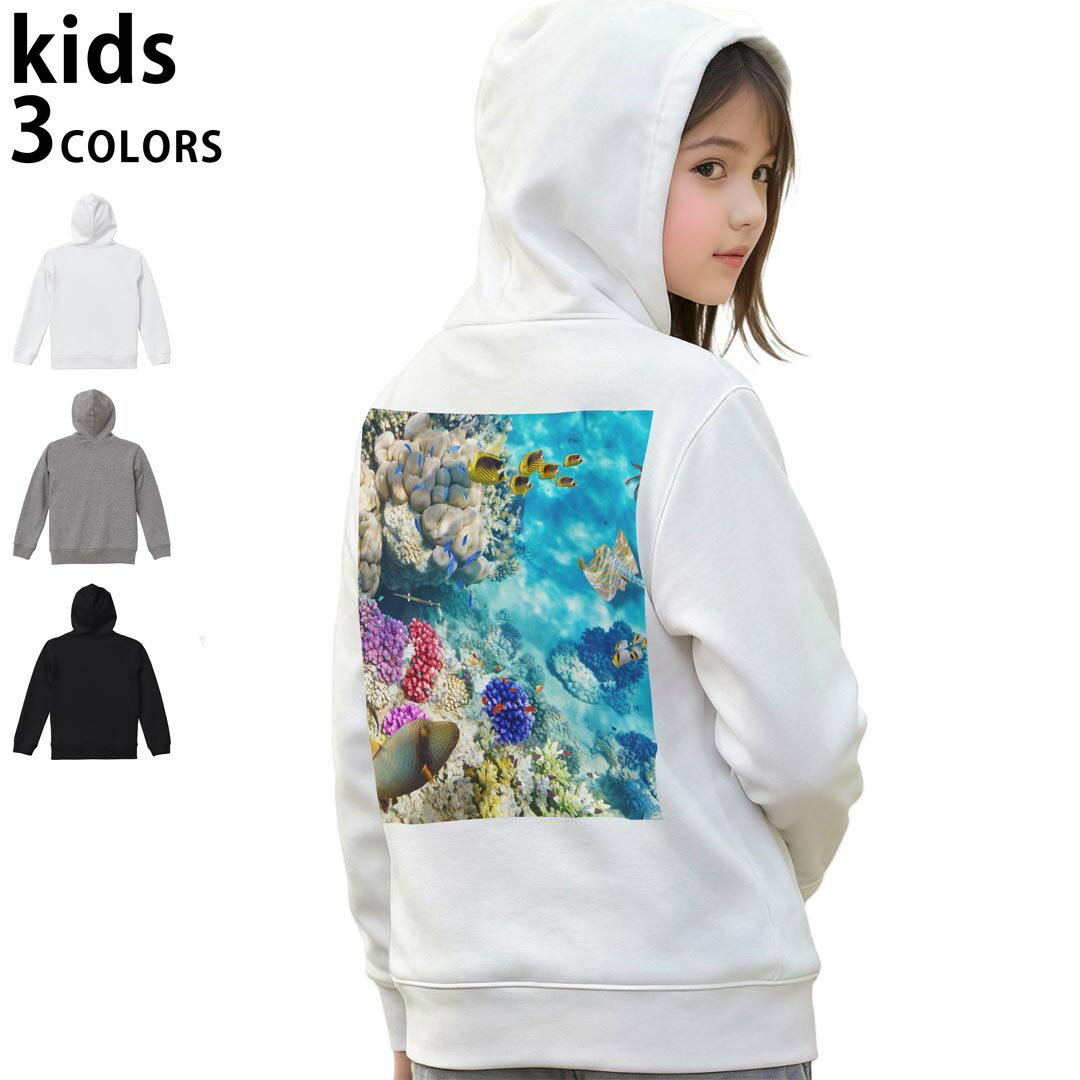 選べる3カラー パーカー スウェット バックプリントキッズ 男女兼用 男の子 女の子 ユニセックス unisex 長袖 デザイン リブ 110 130 150 parker sweat 008923 写真　魚　海　珊瑚