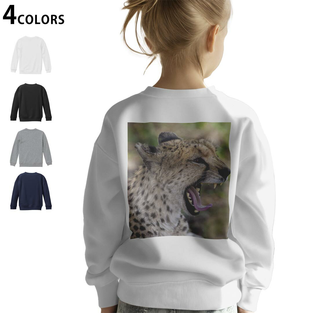 選べる5カラー スウェット トレーナー キッズ 男女兼用 男の子 女の子 ユニセックス unisex 長袖 デザイン リブ ホワイト ブラック 白 黒 グレー ネイビー ベージュ 紺 茶 130 150 trainer sweat▼画像をクリックで拡大▼ ホワイト グレー ブラック ネイビー ▼全デザインはこちらから▼