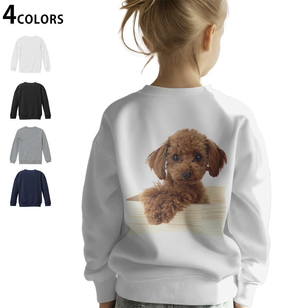 選べる3カラー バックプリント スウェットレーナー キッズ 男女兼用 男の子 女の子 ユニセックス unise..