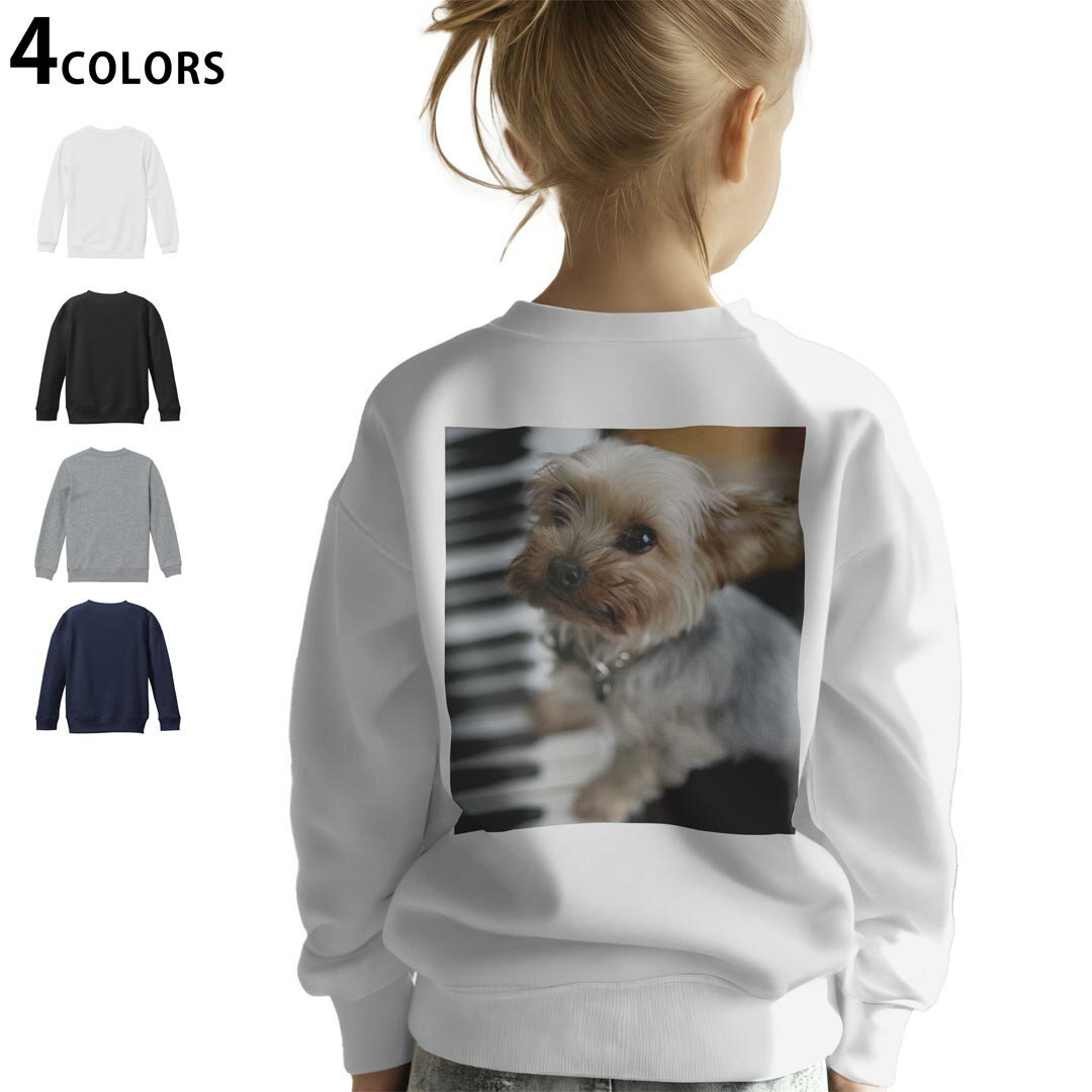 選べる3カラー バックプリント スウェットレーナー キッズ 男女兼用 男の子 女の子 ユニセックス unise..